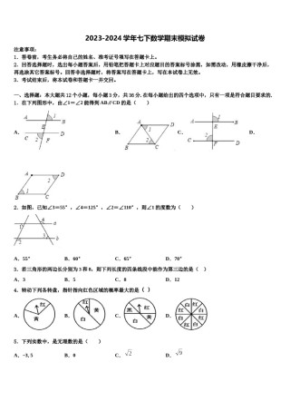 福建省建宁县2023-2024学年七年级数学第二学期期末学业质量监测试题含解析.doc