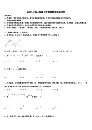福建省晋江市安海片区2024年七年级数学第二学期期末达标检测模拟试题含解析.doc