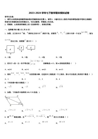 福建省石狮七中学2023-2024学年数学七下期末质量跟踪监视模拟试题含解析.doc