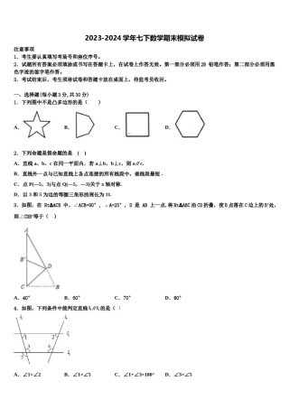 福建省福州市杨桥中学2023-2024学年七年级数学第二学期期末复习检测试题含解析.doc