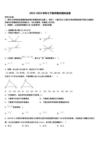 福建省莆田市第二十四中学2024届七下数学期末学业质量监测试题含解析.doc