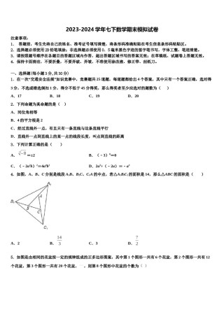 福建省龙岩五中学2024年数学七下期末学业质量监测试题含解析.doc