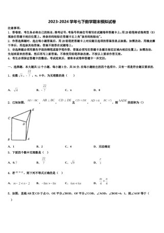 福建省龙岩市第一中学2024届七下数学期末达标检测模拟试题含解析.doc