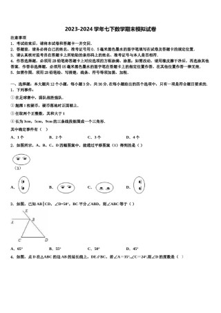 福建省龙岩市第四中学2024届数学七下期末综合测试试题含解析.doc