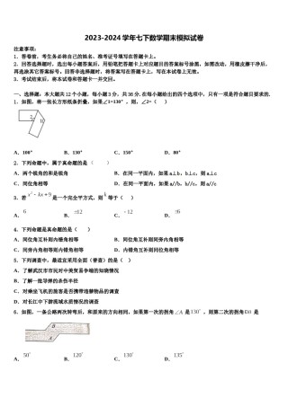 苏南京一中学2023-2024学年七年级数学第二学期期末考试试题含解析.doc