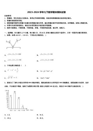 莱芜市重点中学2024届七下数学期末检测试题含解析.doc