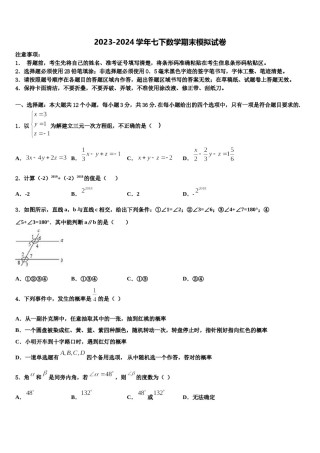 贵州省安顺地区2023-2024学年七年级数学第二学期期末学业质量监测模拟试题含解析.doc