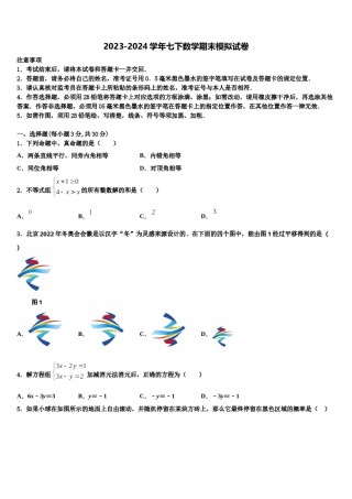 辽宁省大连市新民间联盟2024届七下数学期末质量检测模拟试题含解析.doc