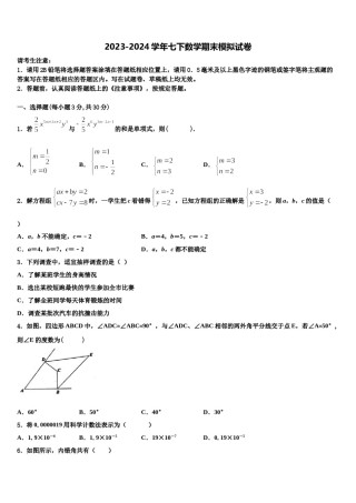 辽宁省辽阳市2024届七年级数学第二学期期末质量检测试题含解析.doc
