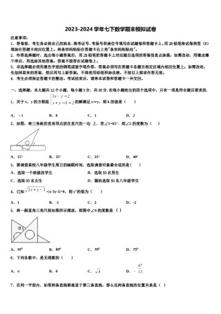 重庆八中学、九十五中学等学校2023-2024学年七年级数学第二学期期末统考模拟试题含解析.doc