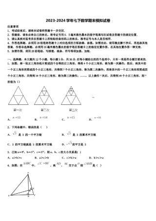 重庆市江津区支坪中学2024届七下数学期末考试试题含解析.doc
