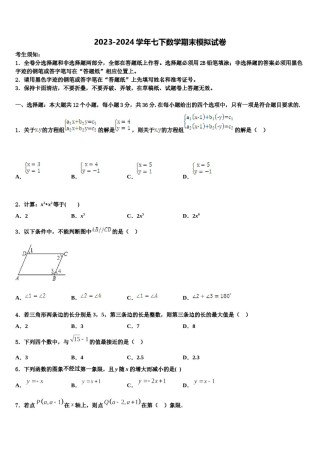 重庆市沙坪坝区2024届七年级数学第二学期期末监测模拟试题含解析.doc