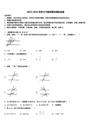 重庆市第十八中学2024届七年级数学第二学期期末质量检测模拟试题含解析.doc