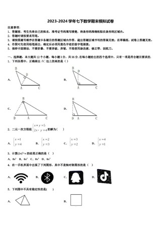 重庆开州区2023-2024学年七年级数学第二学期期末综合测试试题含解析.doc