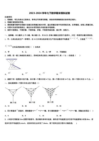 重庆育才成功学校2024届七下数学期末统考试题含解析.doc