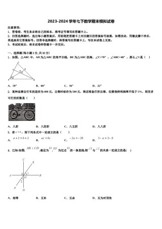 长春市新朝阳实验学校2024年七下数学期末质量检测试题含解析.doc