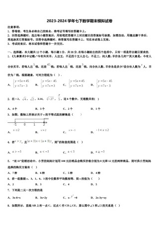 陈经纶中学2023-2024学年七年级数学第二学期期末复习检测模拟试题含解析.doc