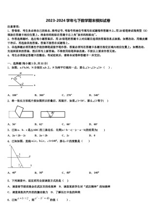 黄南市重点中学2024年七年级数学第二学期期末调研模拟试题含解析.doc