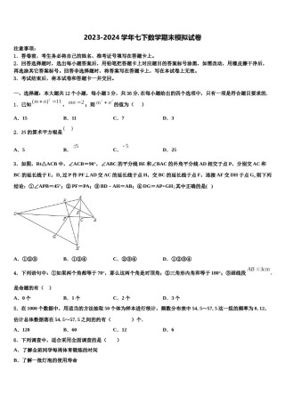 黑龙江省哈尔滨市建平学校2024年七下数学期末教学质量检测模拟试题含解析.doc