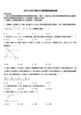黑龙江省杜尔伯特县2024届数学七下期末达标检测模拟试题含解析.doc