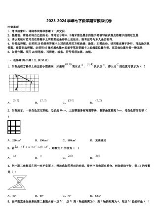 黑龙江省绥滨农场学校2024年七下数学期末综合测试试题含解析.doc