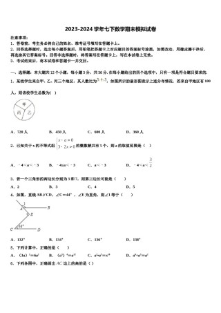 齐齐哈尔市重点中学2024年七年级数学第二学期期末调研试题含解析.doc