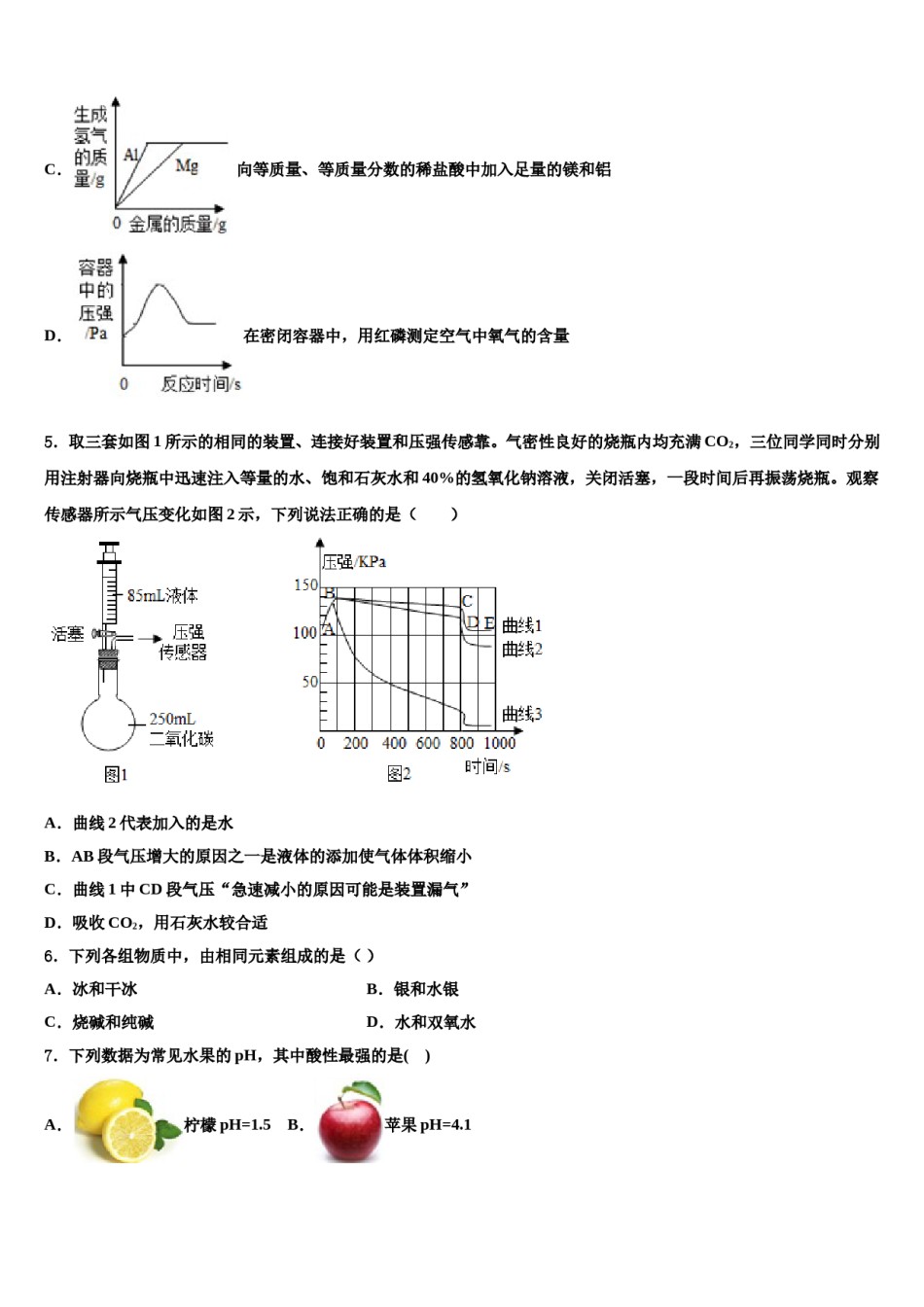 2023-2024学年吉林省长春市实验繁荣校中考考前最后一卷化学试卷含解析.doc_第2页