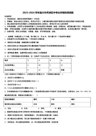 2023-2024学年嘉兴市秀洲区中考化学模拟预测题含解析.doc