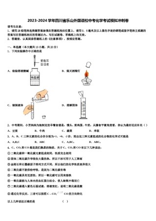 2023-2024学年四川省乐山外国语校中考化学考试模拟冲刺卷含解析.doc