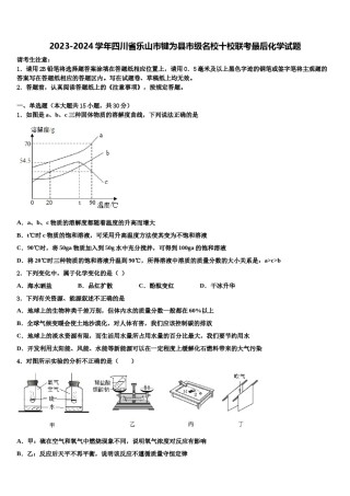 2023-2024学年四川省乐山市犍为县市级名校十校联考最后化学试题含解析.doc