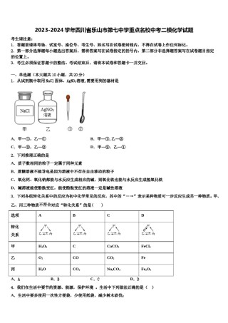 2023-2024学年四川省乐山市第七中学重点名校中考二模化学试题含解析.doc