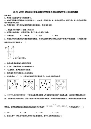 2023-2024学年四川省乐山第七中学重点达标名校中考三模化学试题含解析.doc