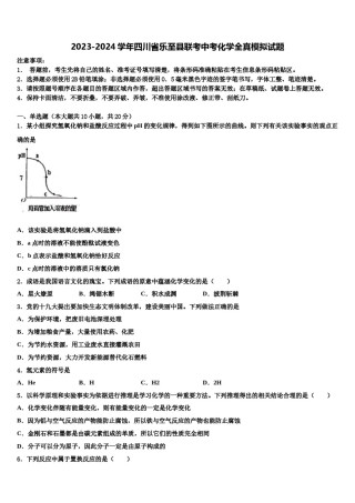 2023-2024学年四川省乐至县联考中考化学全真模拟试题含解析.doc