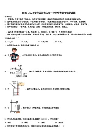 2023-2024学年四川省仁寿一中学中考联考化学试题含解析.doc