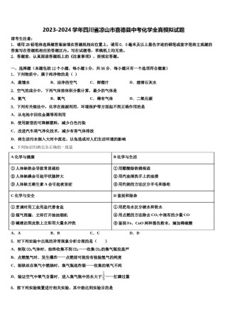 2023-2024学年四川省凉山市喜德县中考化学全真模拟试题含解析.doc