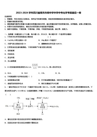2023-2024学年四川省南充市阆中学中学中考化学考前最后一卷含解析.doc