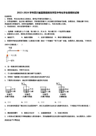 2023-2024学年四川省富顺县骑龙学区中考化学全真模拟试卷含解析.doc