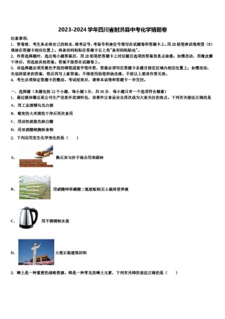 2023-2024学年四川省射洪县中考化学猜题卷含解析.doc