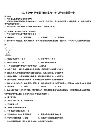 2023-2024学年四川省射洪市中考化学考前最后一卷含解析.doc
