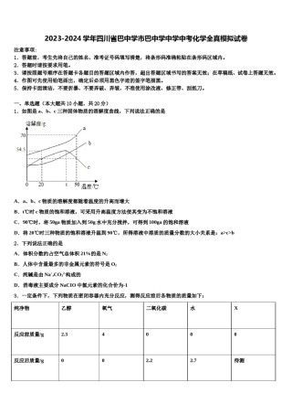 2023-2024学年四川省巴中学市巴中学中学中考化学全真模拟试卷含解析.doc