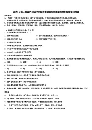 2023-2024学年四川省巴中学市恩阳区实验中学中考化学模拟预测题含解析.doc