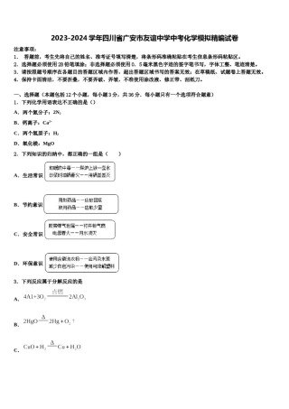 2023-2024学年四川省广安市友谊中学中考化学模拟精编试卷含解析.doc