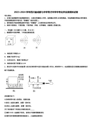 2023-2024学年四川省成都七中学育才中学中考化学全真模拟试卷含解析.doc