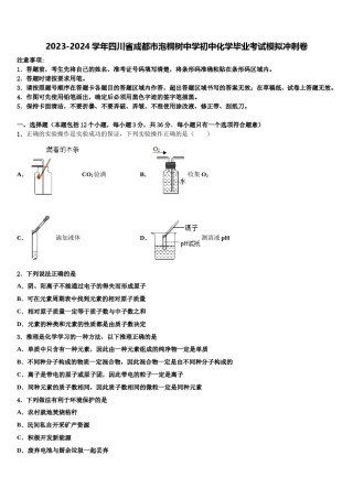 2023-2024学年四川省成都市泡桐树中学初中化学毕业考试模拟冲刺卷含解析.doc