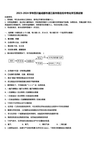 2023-2024学年四川省成都市浦江县市级名校中考化学五模试卷含解析.doc