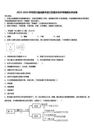 2023-2024学年四川省成都市温江区踏水校中考猜题化学试卷含解析.doc