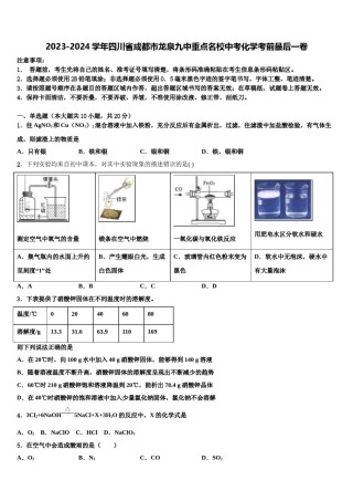 2023-2024学年四川省成都市龙泉九中重点名校中考化学考前最后一卷含解析.doc