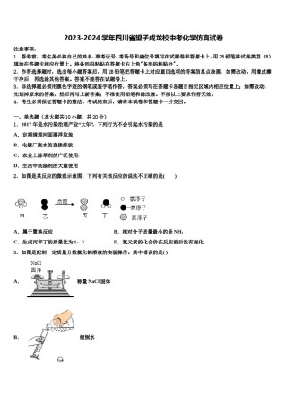 2023-2024学年四川省望子成龙校中考化学仿真试卷含解析.doc