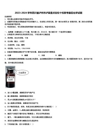 2023-2024学年四川省泸州市泸县重点名校十校联考最后化学试题含解析.doc