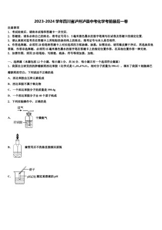 2023-2024学年四川省泸州泸县中考化学考前最后一卷含解析.doc